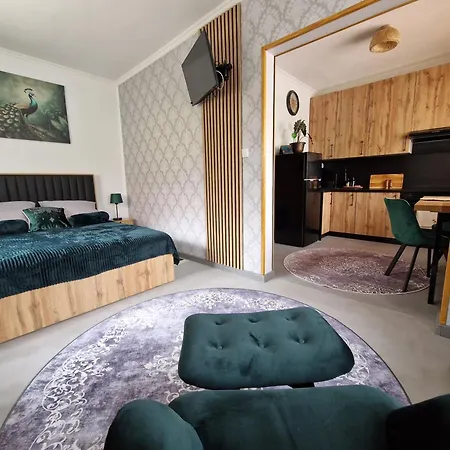 شقة Magdalena Centrum Urania أولشتين